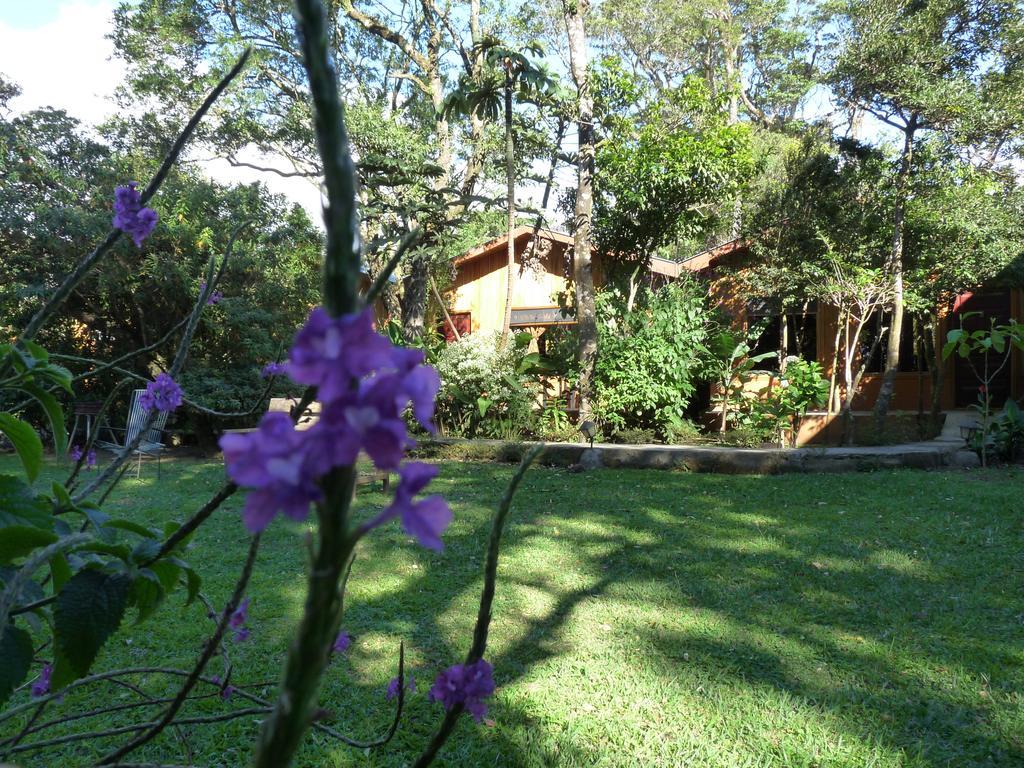 Monteverde Villa Lodge Exteriör bild