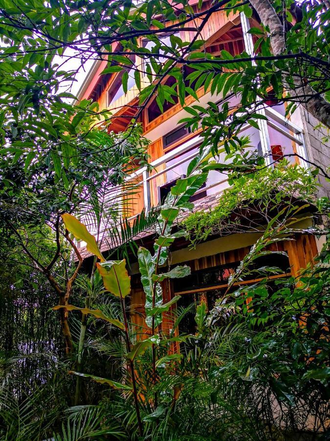 Monteverde Villa Lodge Exteriör bild